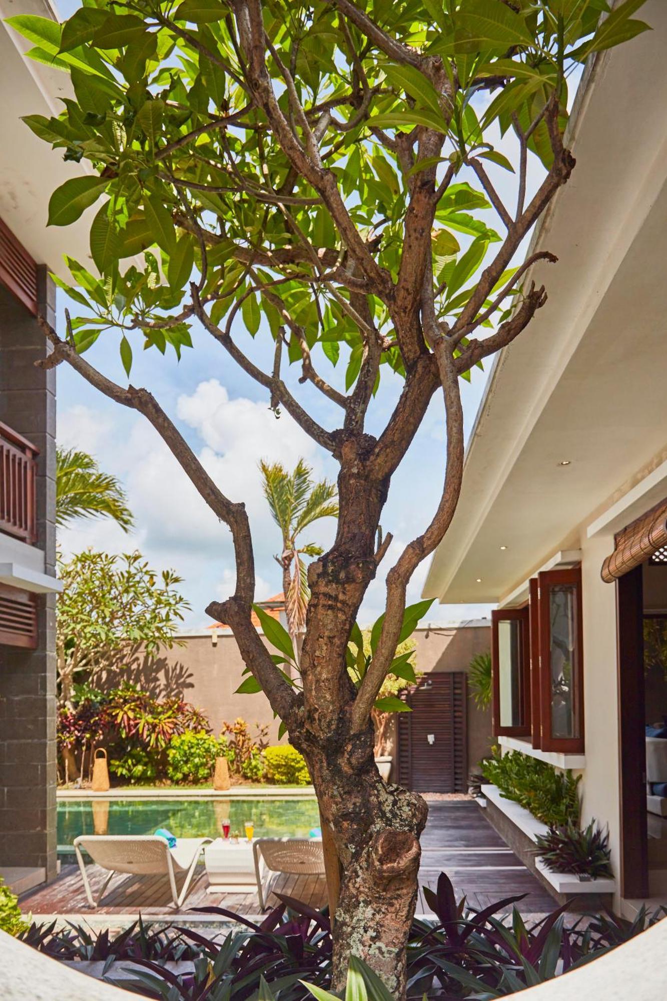 Dreamscape Bali Villas Canggu Екстериор снимка